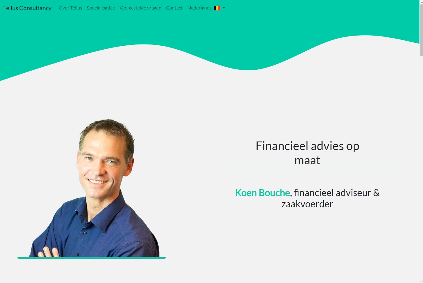 Tellus Consultancy website 1